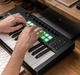 MIDI-клавиатура Novation LaunchKey Mini 25 MK4 - изображение 11