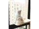 Лежанка віконна для кішки Sunny Seat Window Cat Bed (61901TT727) - зображення 8