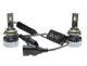 Комплект світлодіодних ламп Qline Optima HB4 (9006) 6000K (2шт) 12V - изображение 1