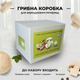 Бокс-набір для вирощування печериць білі 3.6 кг - зображення 2