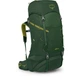 Рюкзак Osprey Ace 50 green canopy O/S зелений - изображение 1