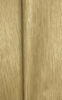 Флизелиновые обои винил горячего тиснения Erismann Code Nature 12109-20 Золотистый (1,06х10,05м) - изображение 8
