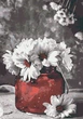 Картина по номерам Riviera Blanca Нежные ромашки 28x40 см (RB-0208) - изображение 6