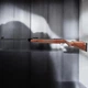 Пневматична гвинтівка Diana 350 Magnum Premium - зображення 2