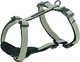 Шлея Trixie CityStyle H-harness для собак хлопок XS-S 30-44 см 10 мм Светло-серая (4053032682603) - изображение 1
