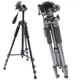 Штатив NeePho NP-8850 знімний майданчик+Тримач Чехол 56-175 СМ Black - зображення 1