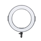 Накамерный свет PowerPlant Ring Light RL-288A - изображение 1