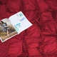 Наволочка с ушками MirSon Satin Stripe 30-0018 + 30-0006 Brendon 70x70 см (2200005262993) - изображение 4