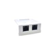 Розетка EServer (WT-2015A) 2хRJ-45, Cat5Е, внешняя, белый Store - зображення 1