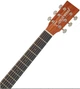 Акустическая гитара Tanglewood TR5 - изображение 4
