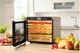 Сушка, дегидратор для продуктов Sencor SFD7750SS 7 поддонов 30 см ×28 см, электронное управление 600Вт Черный - изображение 2