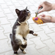 Кошачья мята для наполнения игрушек KONG Cat Refillables Catnip Tubes, 3 шт х 9 г - изображение 3