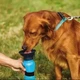 Дорожная бутылка-поилка для собак Aqua Dog 550 мл от брызгов - изображение 3