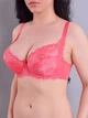Бюстгальтер Diorella 34652D кораловий 90D - зображення 1