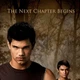 Постер Сумерки. Сага:Новолуние. , Twilight Saga: New Moon (2009), A3 42×28 см (id6874) - изображение 2