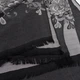 Палантин женский SumWin Квіти 2025-3-02 Черный (ROZ6501062476) - изображение 3
