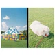 Плівковий фотоапарат Kodak EKTAR H35N BT21 Edition - зображення 7