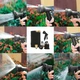 Шланг садовый для полива 30.4 м набор для полива с распылителем, растягивающийся, гибкий, для сада и огорода shlang_polivnoi_4 - изображение 3