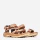 Женские сандалии Merrell Speed Fusion Web Rmx J008134 36 (5US/3UK) 22 см Tan Rose (195020842188) - изображение 2