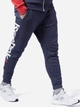 Спортивні штани утеплені чоловічі Reebok ej9869 L Темно-сині (KC1000000045331) - зображення 1