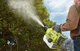 Опрыскиватель-распылитель аккум Ryobi one+ ry18fga-0, 2л, 18в, 7.2л/ч (без акб и зу) 5133004912 - изображение 7