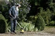 Триммер садовый Karcher wre 18-55 для удаления сорняков, аккум., 18в, 2.85кг, Solo (без акб и зу) 1.445-244.0 - изображение 2