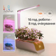Гроубокс гидропонная установка Smart с LED подсветкой для домашнего выращивания сада, рассады, зелени и макрозелени мощность 10 Вт посадочных мест 9 smart garden_1 - изображение 8