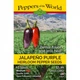 Семена острого перца Jalapeno Purple (Халапеньо Фиолетовый) 5000, 2025 г. - изображение 1