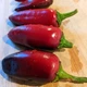 Семена острого перца Jalapeno Purple (Халапеньо Фиолетовый) 5000, 2025 г. - изображение 2