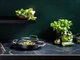 Сотейник з кришкою GreenPan Chef's Collection 28 см 3.5 л (CC007736-001) - зображення 7