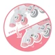 Ролики 2в1 Globber розмір 26-29 от 3 років до 20 кг, Pink - изображение 3