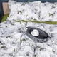 Простынь на резинке MirSon 90x190+25 см 00-1 Olive Flowers поплин (2200009699481) - изображение 3