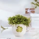 Чашка Villeroy & Boch With Love Good Luck 290 мл (1016898001) - зображення 5