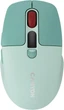 Mysz Canyon MW-26 LCD Silent Wireless/Bluetooth Green (CNS-CMSW26GR) - obraz 1