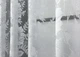 Короткая тюль, длина 1,2м., жаккард "Jak-1". Цвет белый. Код 696т - изображение 4