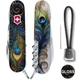 Складной нож Victorinox HUNTSMAN DESIGN Удивительное перо 1.3713.3.R2120pk - изображение 3
