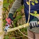 Аккумуляторная сабельная пила Worcraft CSS-12Li, ножовка 12В - изображение 10