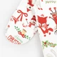 Человечек новогодний для малышей с начесом Dexter`s santa 62 см - изображение 3