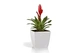 Вазон Plastkon Quadrato Flower Lover 22x22x21см білий - зображення 2