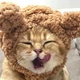 Шапка с ушками для кошек и собак Brown Pet Weight 2-4.5 kg - изображение 7