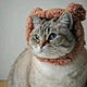 Шапка с ушками для кошек и собак Brown Pet Weight 2-4.5 kg - изображение 10