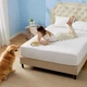 Наматрасник MirSon №7003 AquaCotton Mattress Protector водонепроницаемый на резинке по периметру 180 x 200 см (2200010909234) - изображение 2