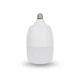 Лампа світлодіодна Lightwell LW-TB-30W (301041) - зображення 1