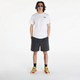 Футболка THE NORTH FACE BOX NSE TEE L Білий 0A87NPFN41 - изображение 4
