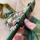 Бойовий тактичний ніж #4114 (Requiem) зелений сталь D2 з кобальтом KN120 - зображення 3