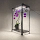 Мини-теплица для орхидей и тропических растений Orchid Black - увлажнитель, фитосвет, таймер - изображение 8