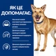 Сухой корм для собак Hill's Prescription Diet i/d Digestive Care заболевания ЖКТ 12 кг (605862) - изображение 4