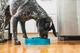 Миска-лабиринт для животных Outward Hound Fun Feeder Тетрис d=29.2,H=5.1см, 480г. Голубой (oh67831) - изображение 5