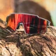 Спортивные поляризованные вело очки ROCKBROS SP316 Серый (RB-SP316-6514) - изображение 10