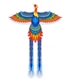 Яскравий повітряний змій Фенікс Fortune Kite 174х274 см (1515) - зображення 1